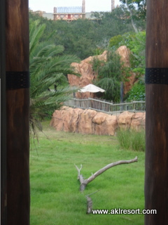 Arusha savanna view